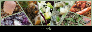lien recette salade de lentilles
